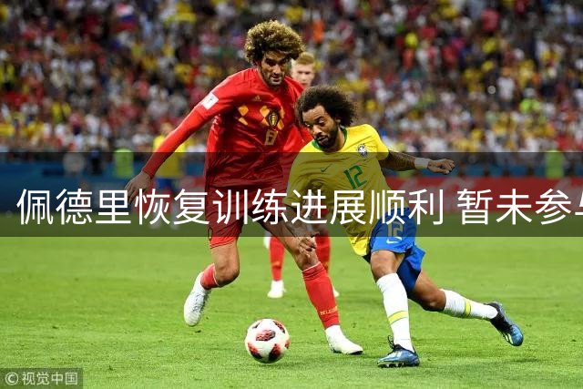 佩德里恢复训练进展顺利 暂未参与球队合练