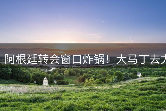 阿根廷转会窗口炸锅！大马丁去尤文，恩佐离队，加纳乔加盟维拉！