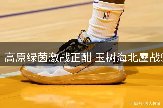 高原绿茵激战正酣 玉树海北鏖战90分钟互交白卷